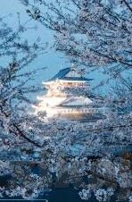 18禁AV麻豆-探索成人世界与数字时代，18禁AV麻豆现象的多元视角