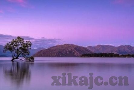 91香蕉麻豆-漫画创作的自由与边界，从91香蕉麻豆现象看网络文化自律