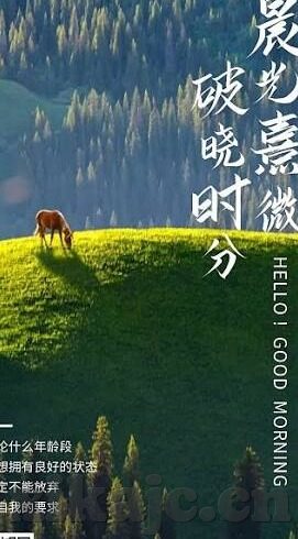 白晶晶果冻传媒第三部-探索白晶晶果冻传媒第三部的魅力与影响