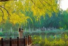成人区人妻精品一区二区-成人区人妻精品一区二区，探索成人娱乐的理性边界