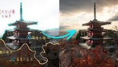 免费成人在线视频-成人在线视频的免费资源，信息时代的双刃剑