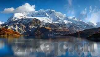 糖心app下载免费-探索糖心世界的甜蜜之旅，安全且合法的下载途径